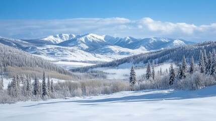 A breathtaking view of a snow-covered valley with mountains towering in the distance 