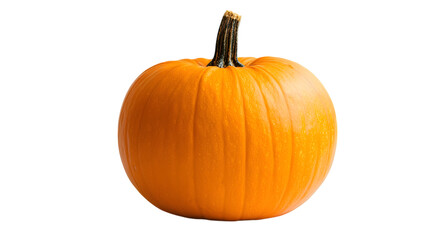A fresh orange pumpkin with a smooth skin on a white background