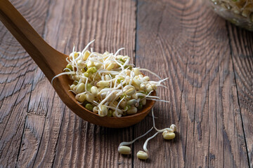 Sprouted mung beans, super food, large amount of microelements and vitamins. Asian component of...