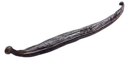 A vanilla bean pod resting naturally on a white background