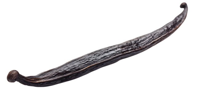 A vanilla bean pod resting naturally on a white background
