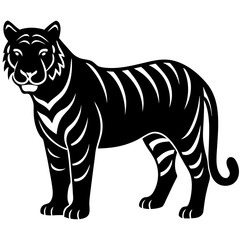 tiger vector illustration