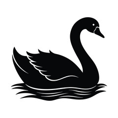 a beautiful swan swim on water on white background