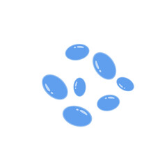 Saccharomyces boulardii colony. Probiotic, beneficial bacterias for human health and beauty. Vector illustration.