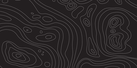  A Luxury Abstract Line Art Pattern with Smooth Topographic Geometry on a Dark Background, Designed for Premium Visual Assets and Modern Design Systems”

