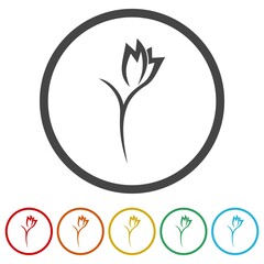 Rose abstract logo. Set icons in color circle buttons