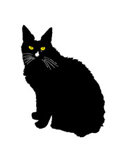 chat noir tattoo old school