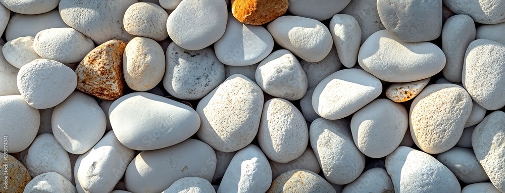 Poster smooth white and beige pebble stones pile creating natural stone texture background with variety col