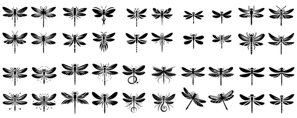 Beautiful collection of Wasp, Butterfly and Dragonfly silhouettes on white background