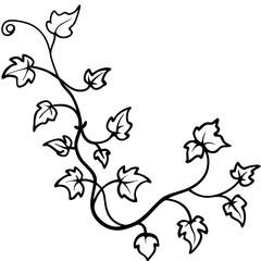 Vine and Ivy Line Art