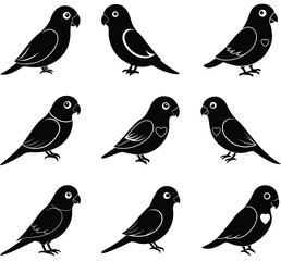 lovebird vector