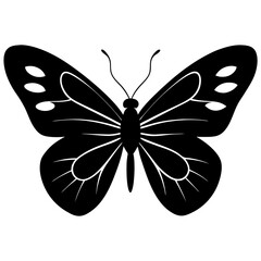silhouette of butterfly vector illustration
