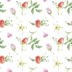 Berry seamless pattern wild rose on stem with foliage watercolor illustration on white. Rosehip flower print hand drawn botanical sketch for printing on wallpaper, textile, tableware, wrapping paper