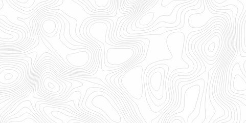 Abstract topography pattern seamless lines sea map modern design white background. Abstract digital topographic contour map concept space geometric strip grid line. Natural discovery of maps.