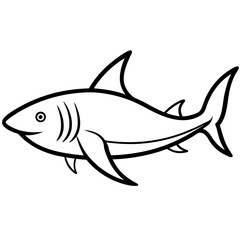 Shark vector line art on white baclground