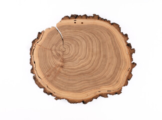 tree cut with annual rings isolated on white background