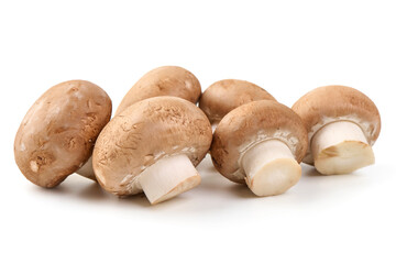 Royal brown champignons, isolated on white background