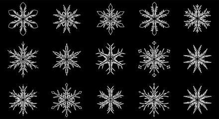 Snowflake silhouettes set. Snowflake symbols. Snow icon. Vector illustration
