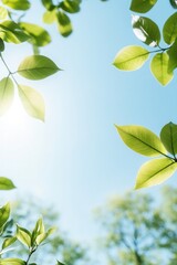 Obraz premium peaceful garden scene bursting with vibrant spring plants under clear blue sky perfect for capturing essence of renewal