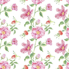 Pattern seamless pink wild rose on stem with foliage watercolor illustration on white. Rosehip flower print hand drawn botanical sketch for printing on wallpaper, textile, tableware, wrapping paper