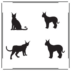 Caracal silhouette, Caracal illustration ,Caracal clipart, Caracal vector , Caracal icon , black Caracal, Caracal illustration on white background,