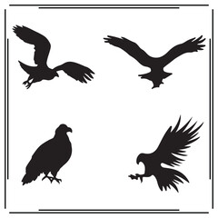 Falcon silhouette, Falcon illustration ,Falcon clipart, Falcon vector , Falcon icon , black Falcon , Falcon illustration on white background,