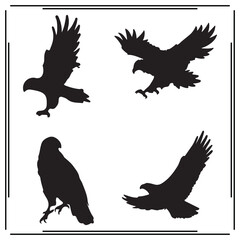 Hawk silhouette, Hawk illustration ,Hawk clipart, Hawk vector , Hawk icon , black Hawk, Hawk illustration on white background,