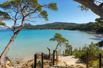 La forêt et les plages de l'Île de Porquerolles en France