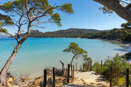 La for&ecirc;t et les plages de l'&Icirc;le de Porquerolles en France