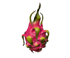 Fototapeta premium Dragon Fruit