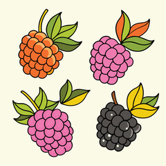 Modern and Vintage Blackberry Fruit Illustrations – Flat Color and Bold Silhouette Styles for Branding, Packaging, and Organic Design.