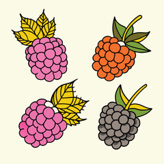 Modern and Vintage Blackberry Fruit Illustrations – Flat Color and Bold Silhouette Styles for Branding, Packaging, and Organic Design.