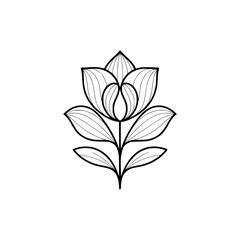 Minimalist Floral Line Art: Bold Blossom on White
