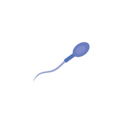 Sperm morphology. Male reproductive system.