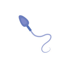 Sperm morphology. Male reproductive system.