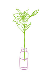 Flower in one line in a vase. hand drawing. Not AI, Vector illustration.