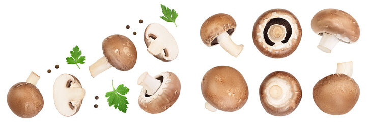 Royal Brown champignon with leaf parsley isolated on white background. Top view with copy space for your text. Flat lay