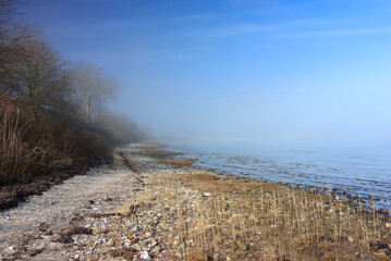 Beautiful coastline with dense sea fog in spring.