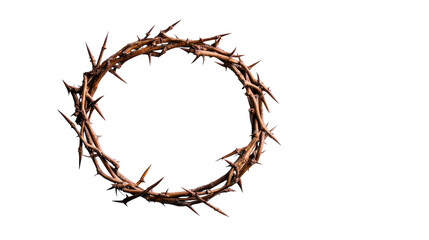 Crown of Thorns Detailed Close-Up on Black, cut out transparent