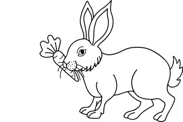 HOW TO DRAW RABBIT DRAWING EASY STEP BY STEP