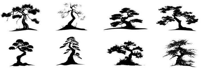 Collection of Junipers vector icons, Junipers vector illustrations