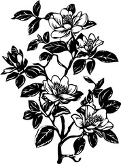 Magnolia vector design, Magnolia vector image