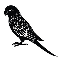parakeet silhouette vector illustration white background.