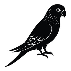 parakeet silhouette vector white background.