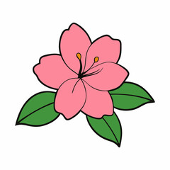 Obraz premium Azalea on White Background