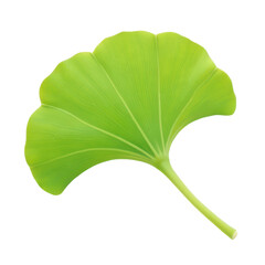 Single Ginkgo Biloba Leaf, Green, Isolated on Black