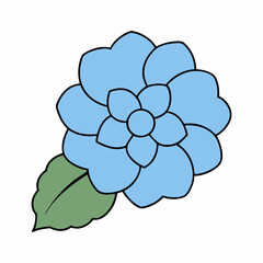 Hydrangea on White Background