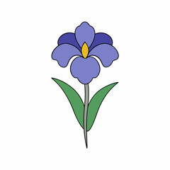Obraz premium Iris on White Background