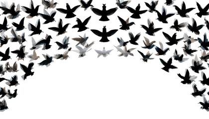 Naklejka premium Flocking birds soaring through the sky nature scene wildlife photography peaceful atmosphere aerial view freedom and movement