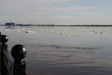 
ice drift on the river in spring in sunny weather